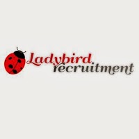 Ladybird Recruitment 809651 Image 0